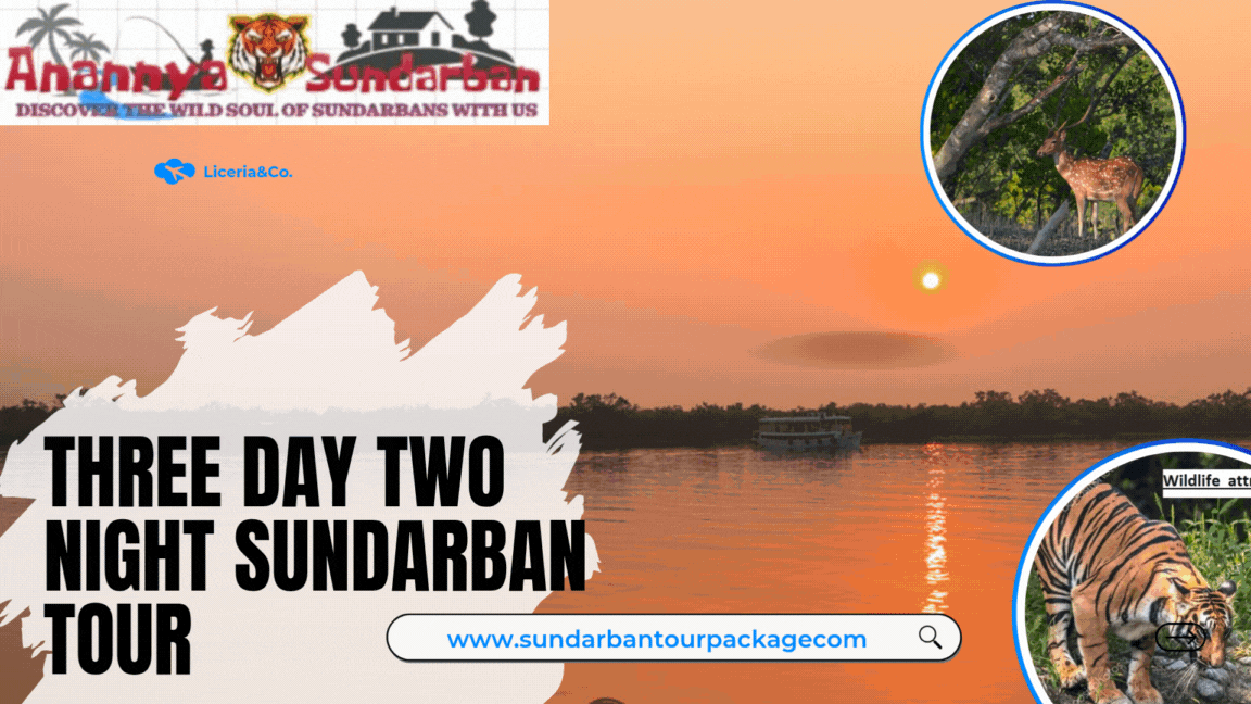 Best 3-Day 2-Night Sundarban Tour Package from Kolkata | ₹5,499 |
